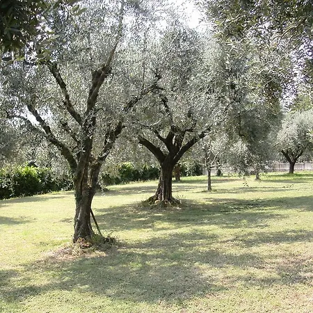Bed & Breakfast Agli Ulivi Manerba del Garda