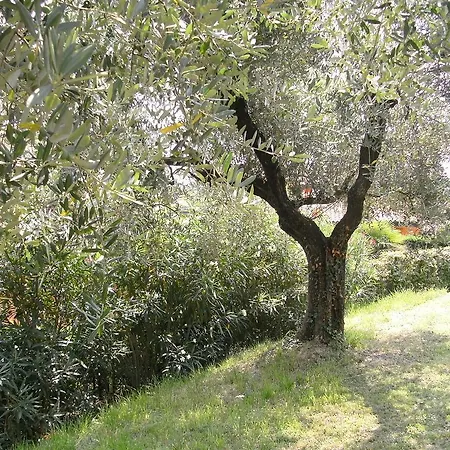 Bed & Breakfast Agli Ulivi Manerba del Garda