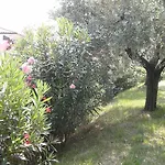 Bed & Breakfast Agli Ulivi Manerba del Garda