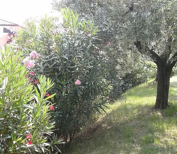 Bed & Breakfast Agli Ulivi Manerba del Garda