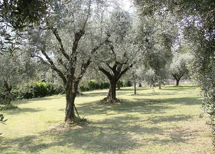 Bed & Breakfast Agli Ulivi Manerba del Garda