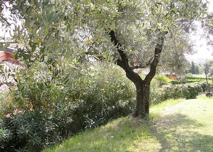 Bed & Breakfast Agli Ulivi Manerba del Garda