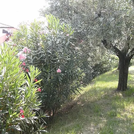 Bed & Breakfast Agli Ulivi Manerba del Garda